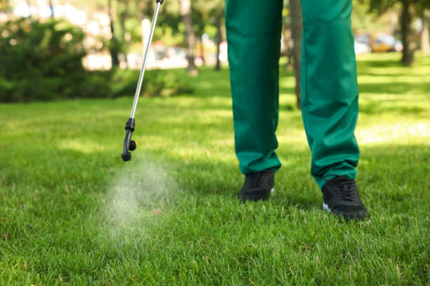 Best Best Pest Control Companies  in Desert Edge, CA