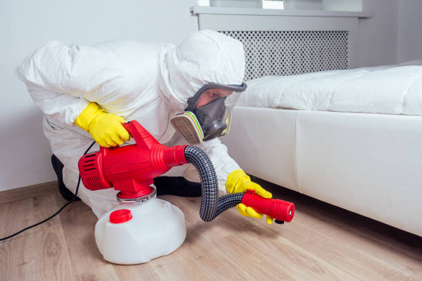 Best Termite Control Services  in Desert Edge, CA
