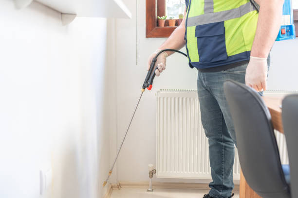 Best Affordable Pest Control Services  in Desert Edge, CA