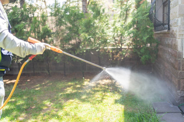 Trusted Desert Edge, CA Pest Control Experts